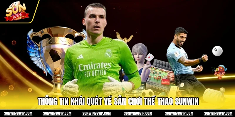 Thông tin khái quát về sân chơi thể thao Sunwin